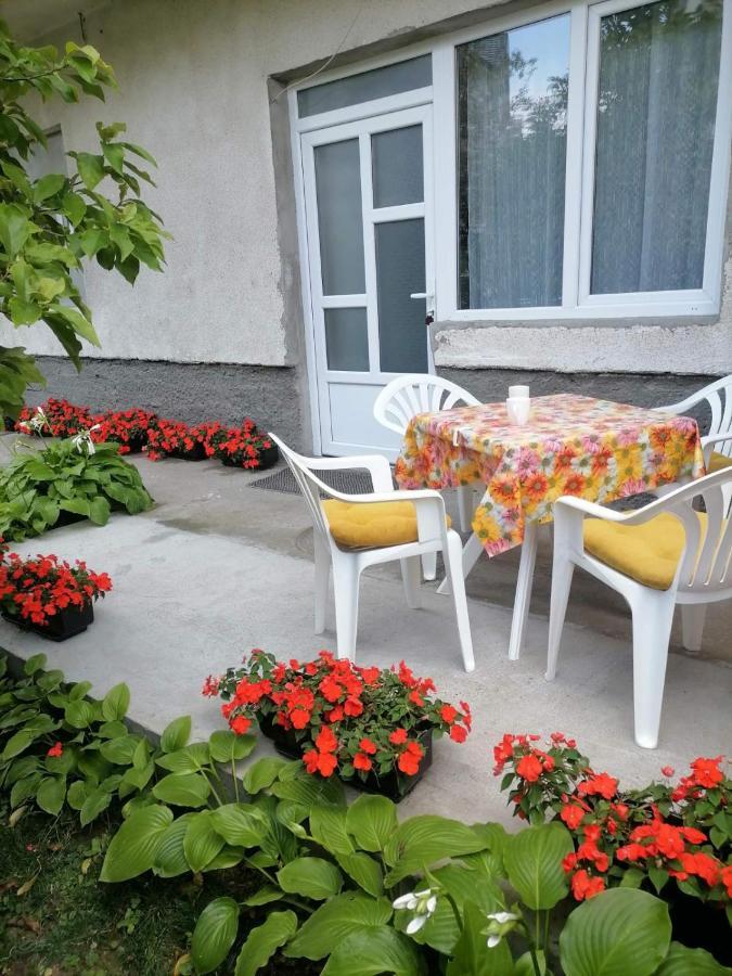 Pavicevic Apartment Соко Баня Екстериор снимка