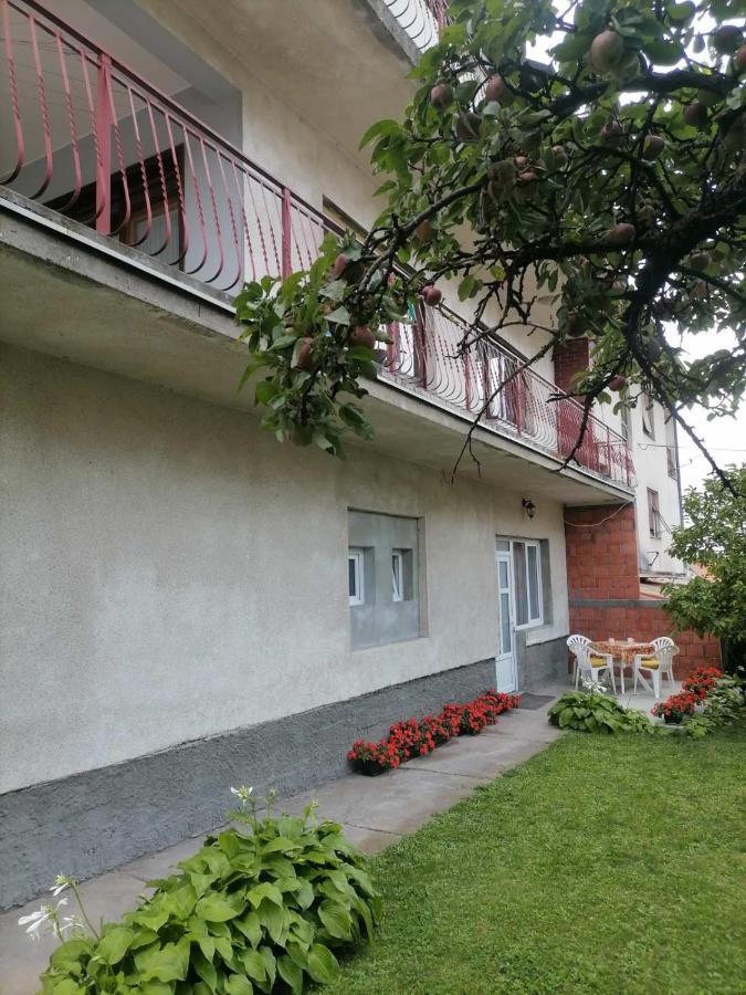 Pavicevic Apartment Соко Баня Екстериор снимка