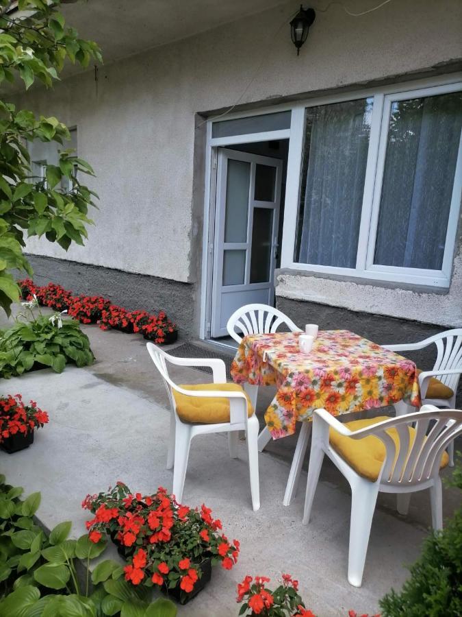 Pavicevic Apartment Соко Баня Екстериор снимка