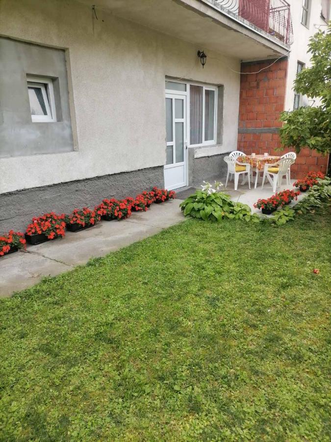 Pavicevic Apartment Соко Баня Екстериор снимка