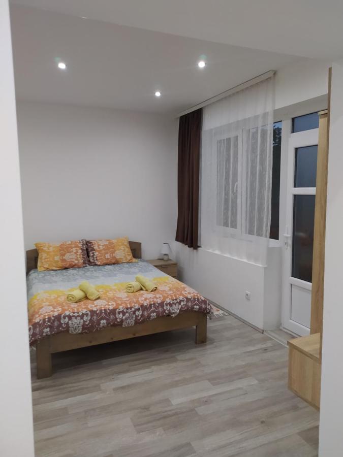 Pavicevic Apartment Соко Баня Екстериор снимка