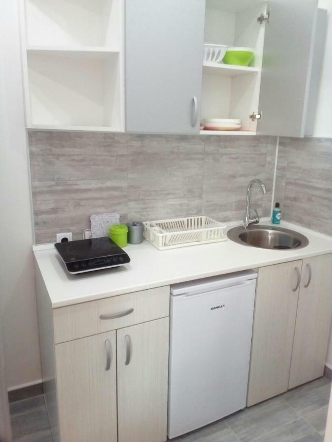 Pavicevic Apartment Соко Баня Екстериор снимка